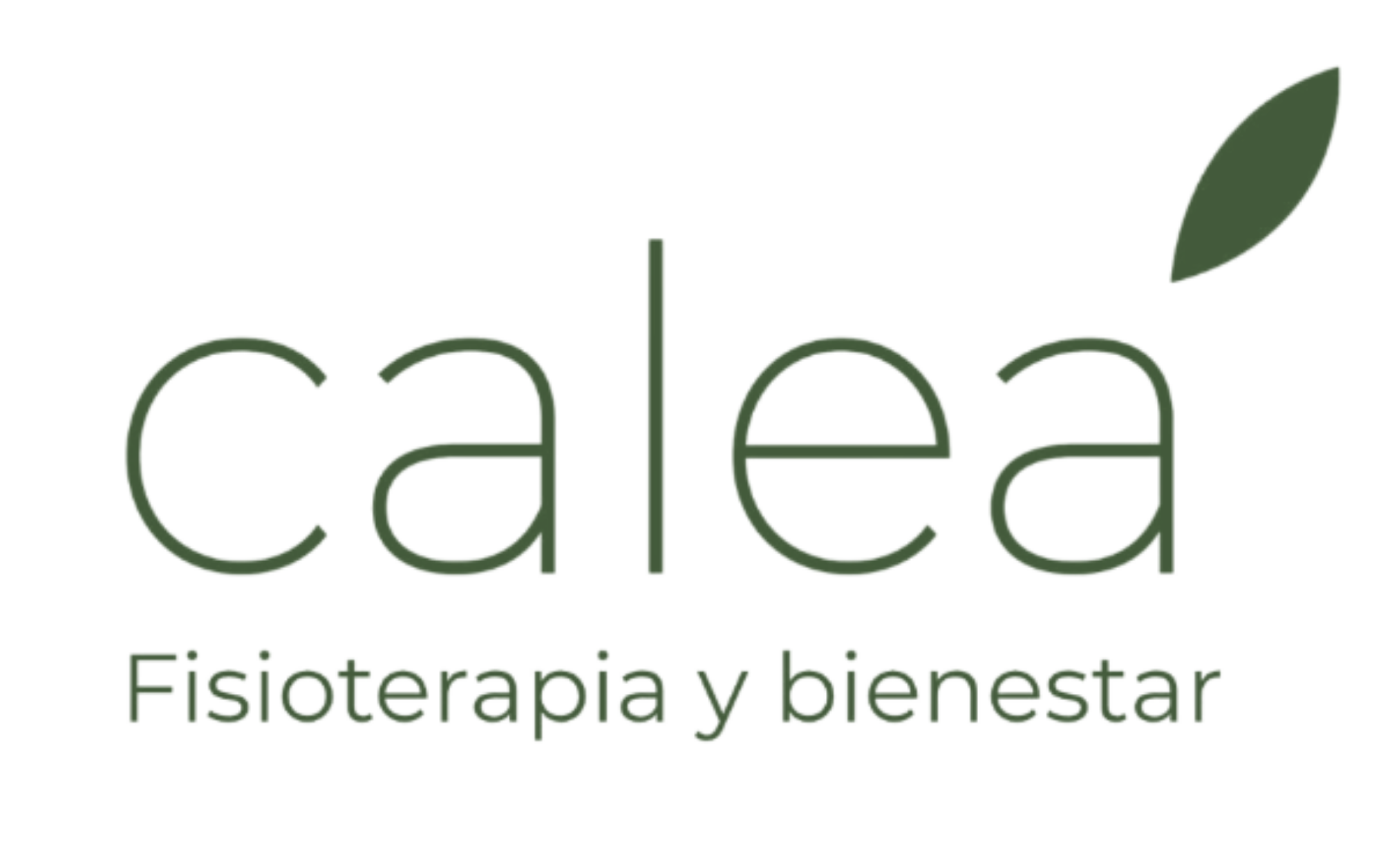 Logo Calea fisioterapia